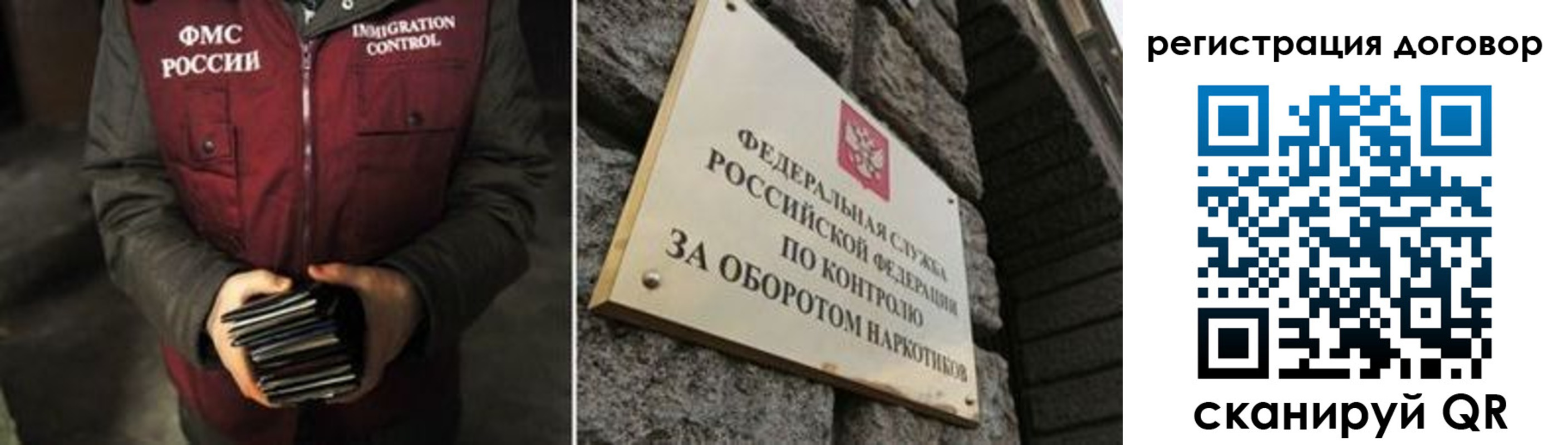 прописка гарантия в Волгограде